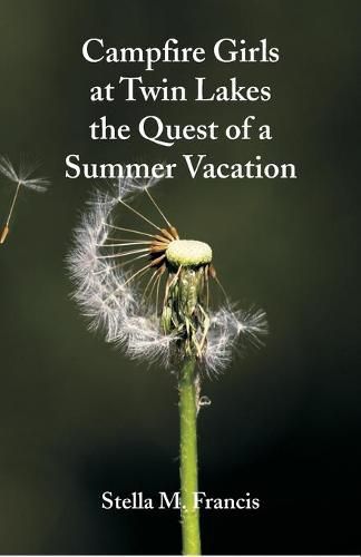 Cover image for Campfire Girls at Twin Lakes The Quest of a Summer Vacation