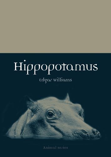Cover image for Hippopotamus