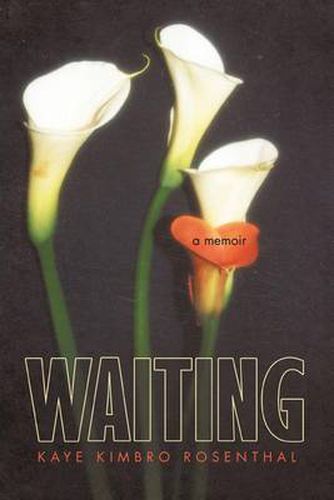 Cover image for Waiting