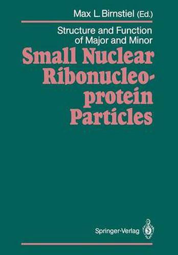 Structure and Function of Major and Minor Small Nuclear Ribonucleoprotein Particles