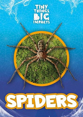 Cover image for Spiders