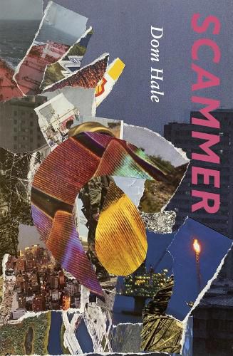 Cover image for Scammer