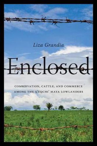 Cover image for Enclosed: Conservation, Cattle, and Commerce Among the Q'eqchi' Maya Lowlanders