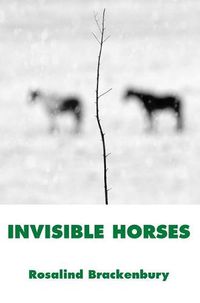 Cover image for Invisible Horses