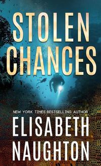 Cover image for Stolen Chances