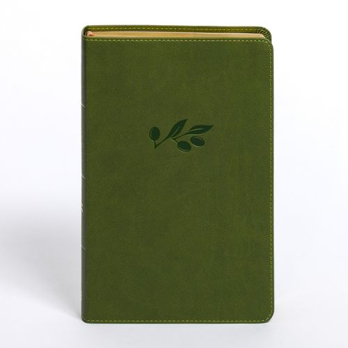 Cover image for CSB Personal Size Giant Print Bible, Olive Leathertouch