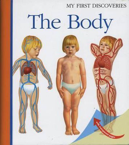 Cover image for The Body