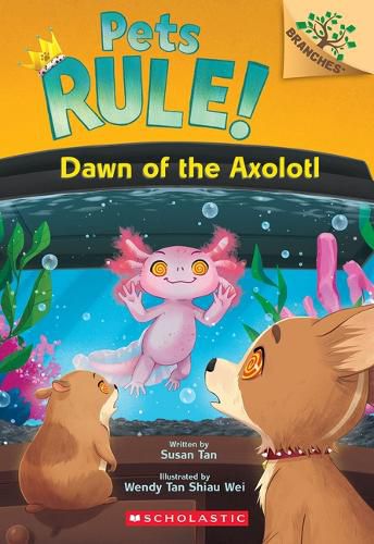 Cover image for Dawn of the Axolotl: A Branches Book (Pets Rule! #9)