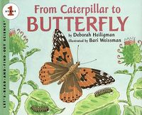 Cover image for From Caterpillar to Butterfly