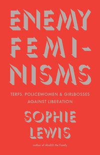 Cover image for Enemy Feminisms