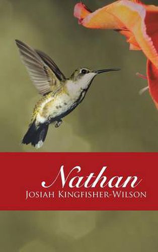 Cover image for Nathan