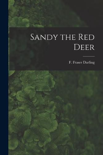 Cover image for Sandy the Red Deer