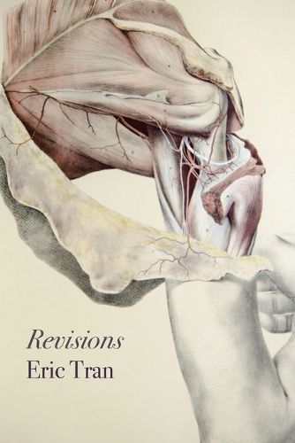 Cover image for Revisions