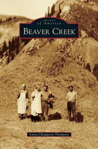 Cover image for Beaver Creek