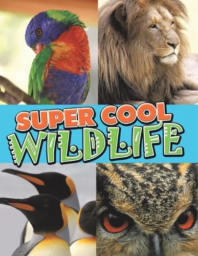 Cover image for Super Cool Wildlife