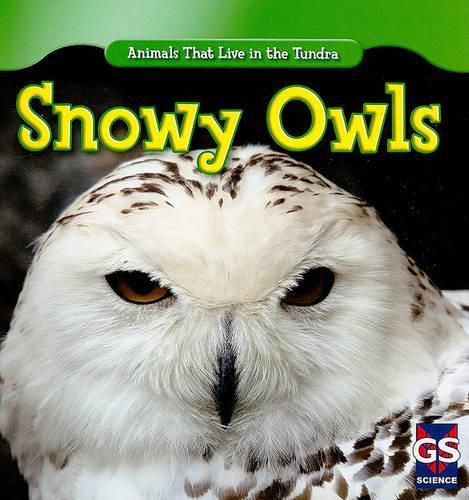 Cover image for Snowy Owls