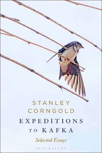 Cover image for Expeditions to Kafka