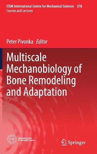 Cover image for Multiscale Mechanobiology of Bone Remodeling and Adaptation