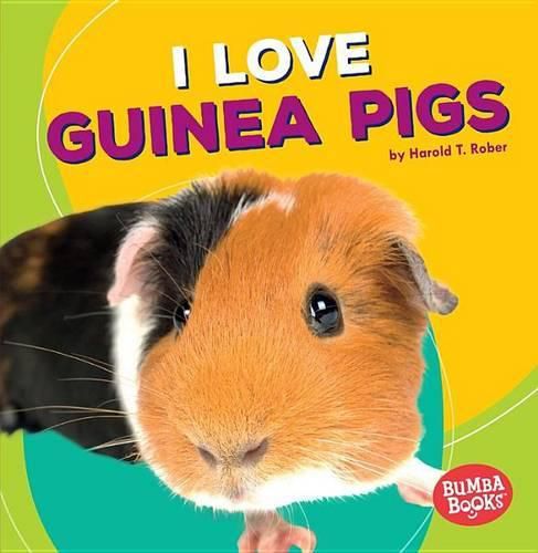 Cover image for I Love Guinea Pigs