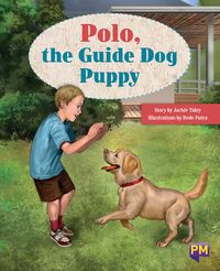 Cover image for Polo, the Guide Dog Puppy