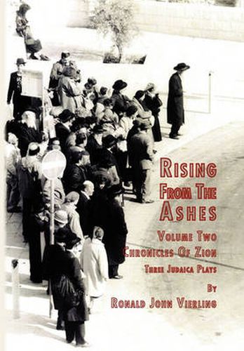 Cover image for Rising from the Ashes Vol 2