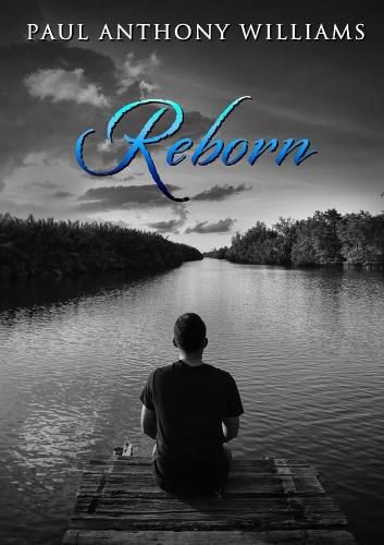 Cover image for Reborn