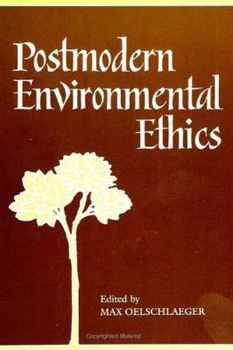 Cover image for Postmodern Environmental Ethics