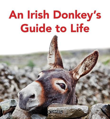 Cover image for An Irish Donkey's Guide to Life