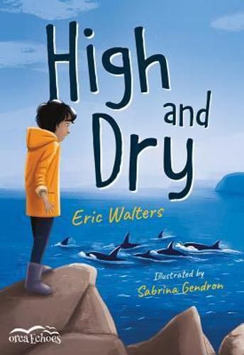 Cover image for High and Dry