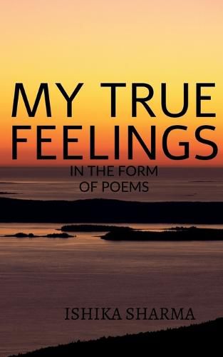 Cover image for My True Feelings