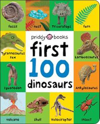 Cover image for First 100 Dinosaurs