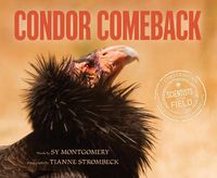Cover image for Condor Comeback