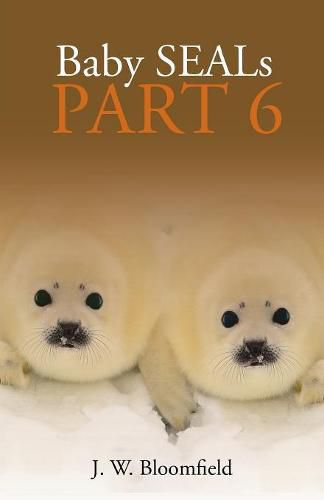 Cover image for Baby Seals Part 6