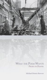 Cover image for What the Poem Wants