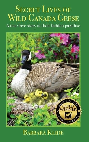 Cover image for Secret Lives of Wild Canada Geese: A true love story in their hidden paradise