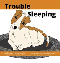 Cover image for Trouble Sleeping