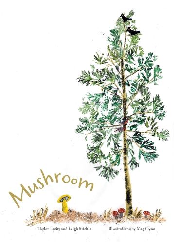 Cover image for Mushroom