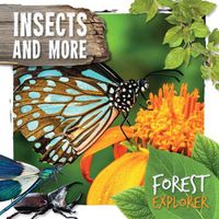 Cover image for Insects and More