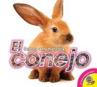 Cover image for El Conejo