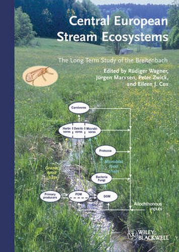 Cover image for Central European Stream Ecosystems: The Long Term Study of the Breitenbach