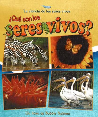 Cover image for Que son los Seres Vivos?