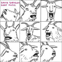Cover image for David Shrigley: Goat Music