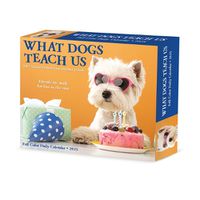 Cover image for What Dogs Teach Us 2025 6.2 X 5.4 Box Calendar