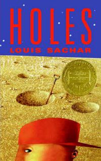 Cover image for Holes
