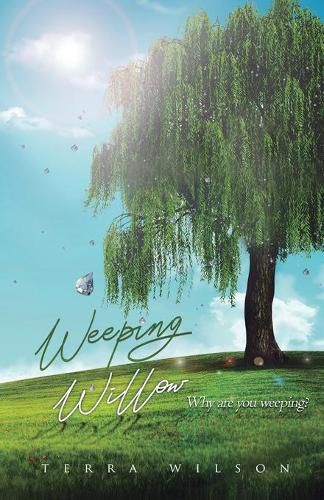 Cover image for Weeping Willow: Why Are You Weeping