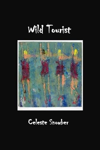 Cover image for Wild Tourist