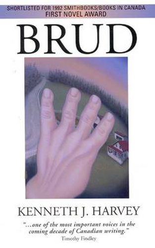 Cover image for Brud