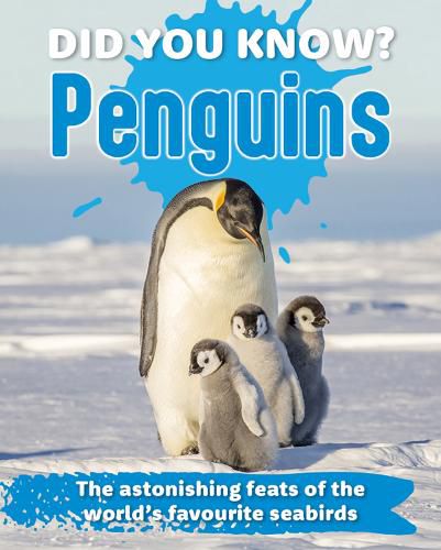 Cover image for Did You Know? Penguins