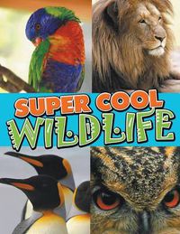 Cover image for Super Cool Wildlife