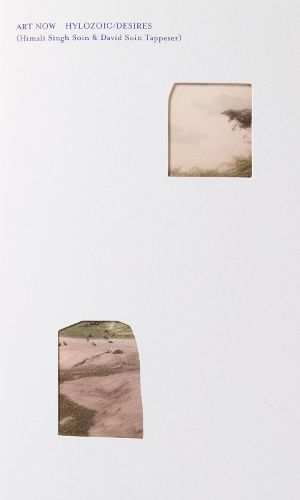 Cover image for Art Now: Hylozoic/Desires